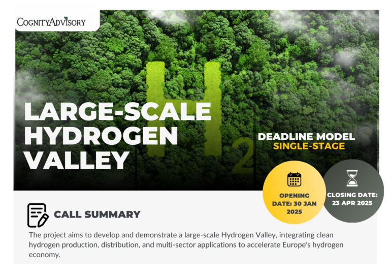 Large-scale Hydrogen Valley