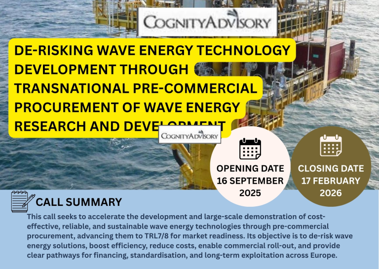 De-risking wave energy technology development through transnational pre-commercial procurement of wave energy research and development